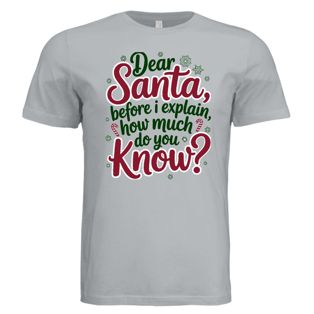 Solid Silver Triblend - FRONT