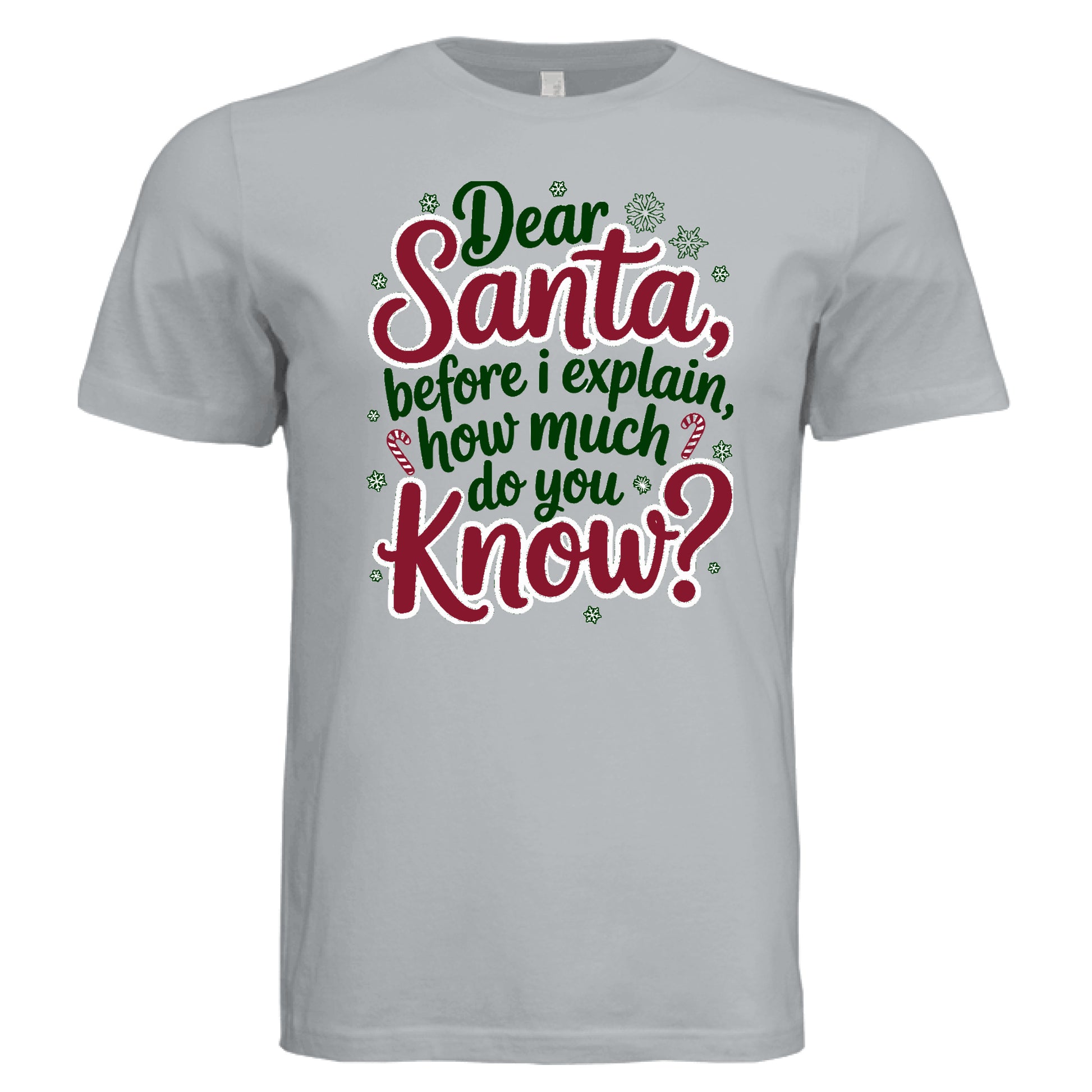 Solid Silver Triblend - FRONT